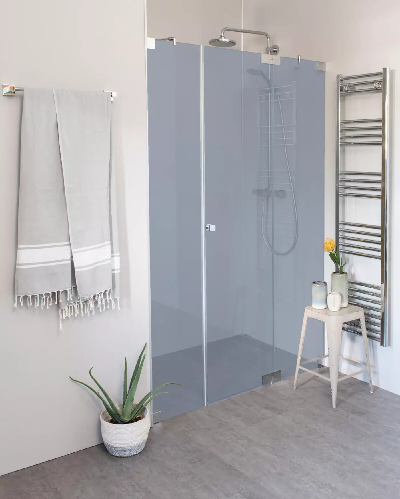 Dusche, Duschwand, Glas, Handtuchhalter, Pflanze