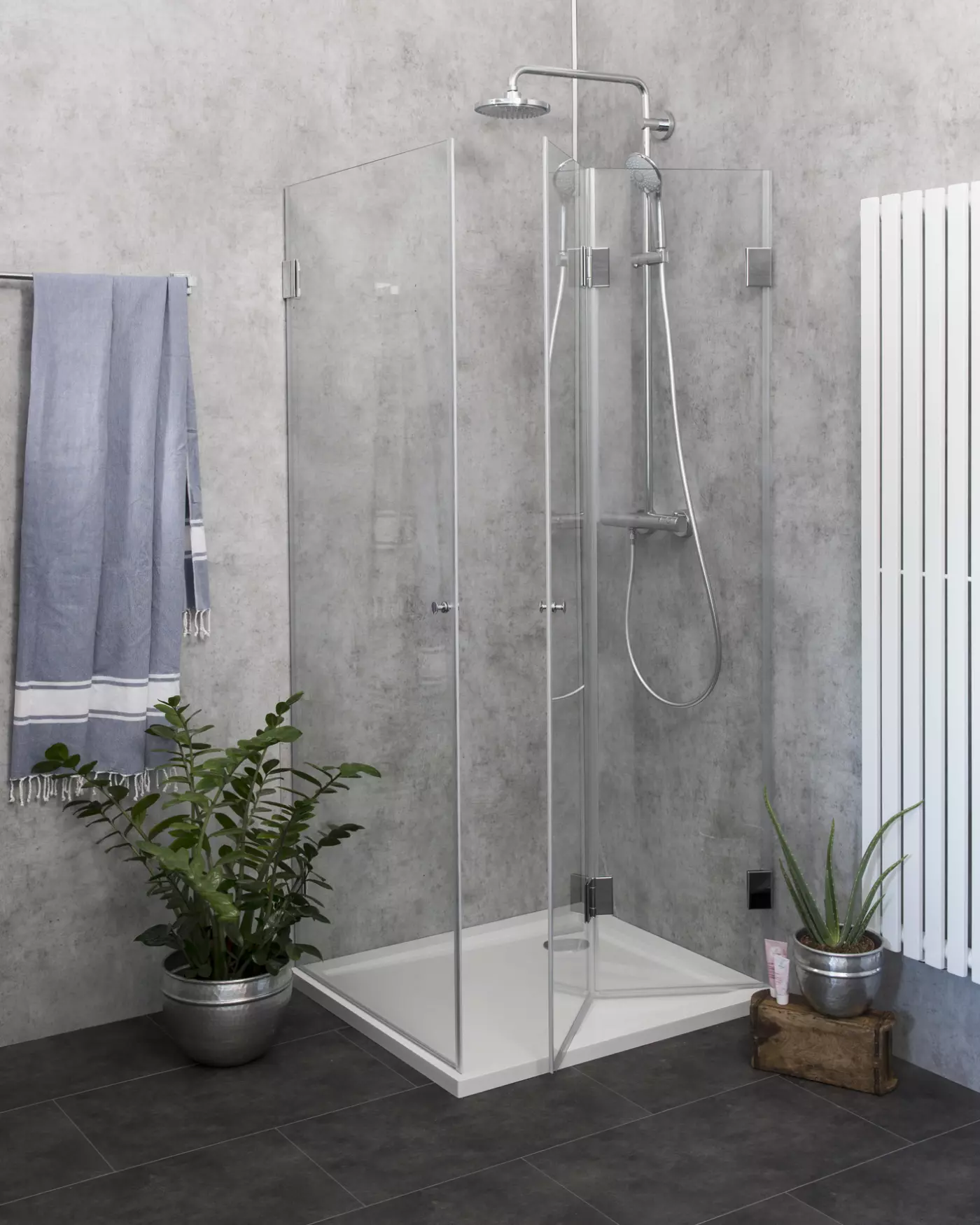 Dusche nach Maß Falttür + Innentür